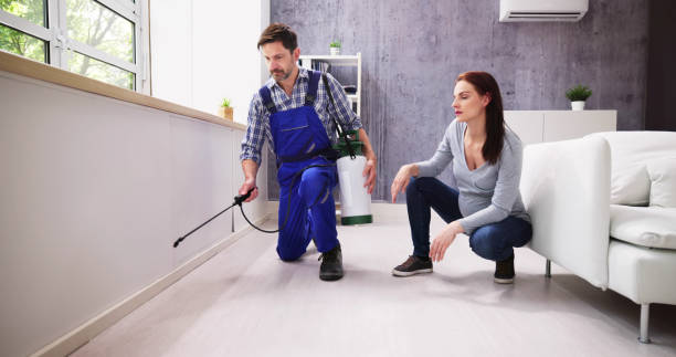 Best Residential Pest Control  in Celina, TX